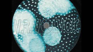 V.R.Volvox - Tahuti