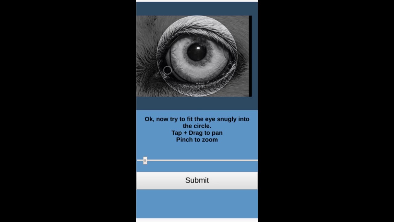 Iris Detection Algorithm (~2019)