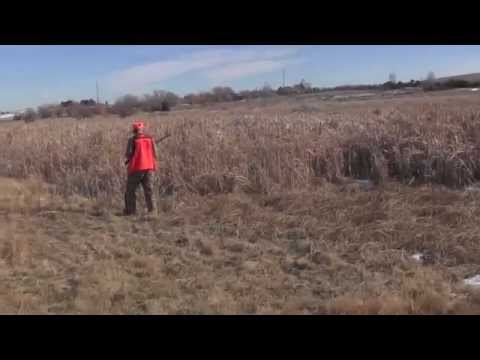 Twylah = Sweet Sixteen