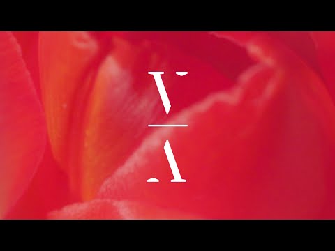 Robby East & LeyeT - Human All Along