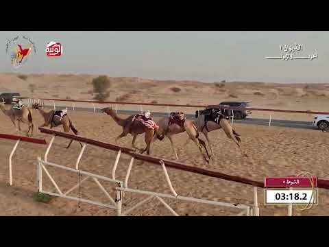  ش 5 (هامه) لـ مطر سيف لاحج الهاجري 8:13 , شارة الديوان 1 2026/09/20 حول زمول اللبسه  