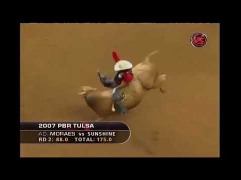Adriano Moraes Vs Sunshine