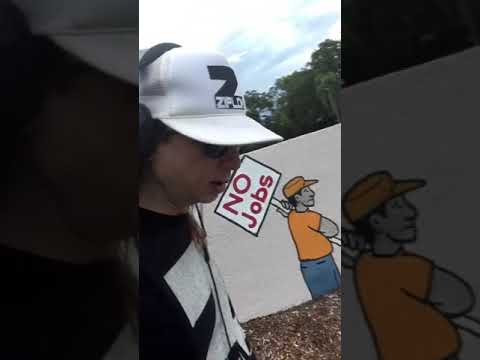 Ziplok - Saint Petersburg, Florida