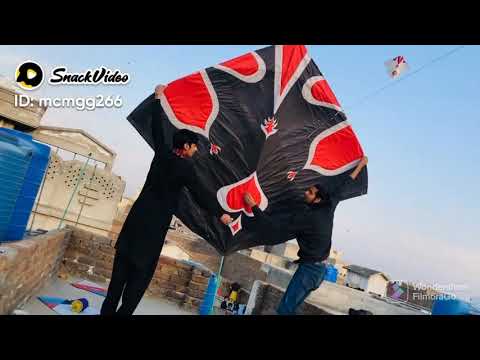 big kite flying festival pindi basant 2022