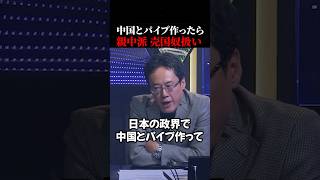 白井聡が代弁…日本の政治で中国とパイプを作っただけで酷い扱いするのはやめてもらいたい…#shorts