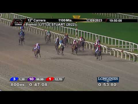 230917 c12 HAPPY DREAMS