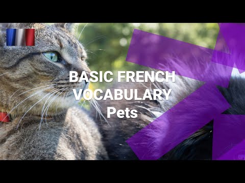 What Are the Numbers One to Ten in French