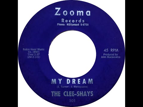 CLEE SHAYS  MY DREAM