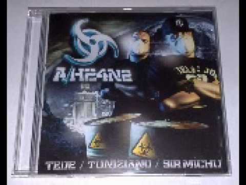 TEDE A/H24N2 - ANTY2