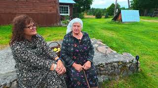 Grybų metas Dzūkijoje | 7 Kauno dienos