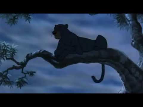 The Tigger King part 1 - "Circle of Life"