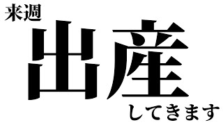 第二子出産します＆今後の活動について【花奏かのん/ななしいんく】