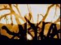 Neurosis - From Where its Roots Run
