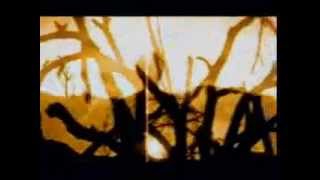 Neurosis - From Where its Roots Run