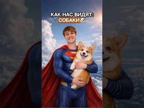 А У ТЕБЯ ЕСТЬ ДОМАШНИЕ ЖИВОТНЫЕ?😎 #юмор #животные #а4