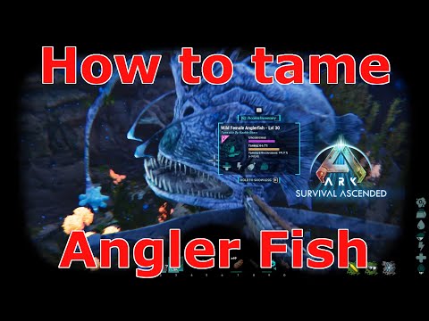 Ark Survival Ascended Angler Taming, Ark how to tame Angler fish, Ark why you NEED angler fish