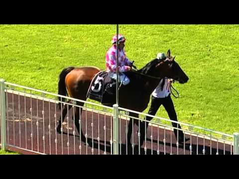 Ascot, 09/03/2016 - Race 3 - LET ME IMPRESS - Cliff Smith