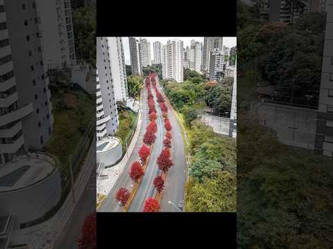 CURITIBA / CAPITAL DO PARANÁ