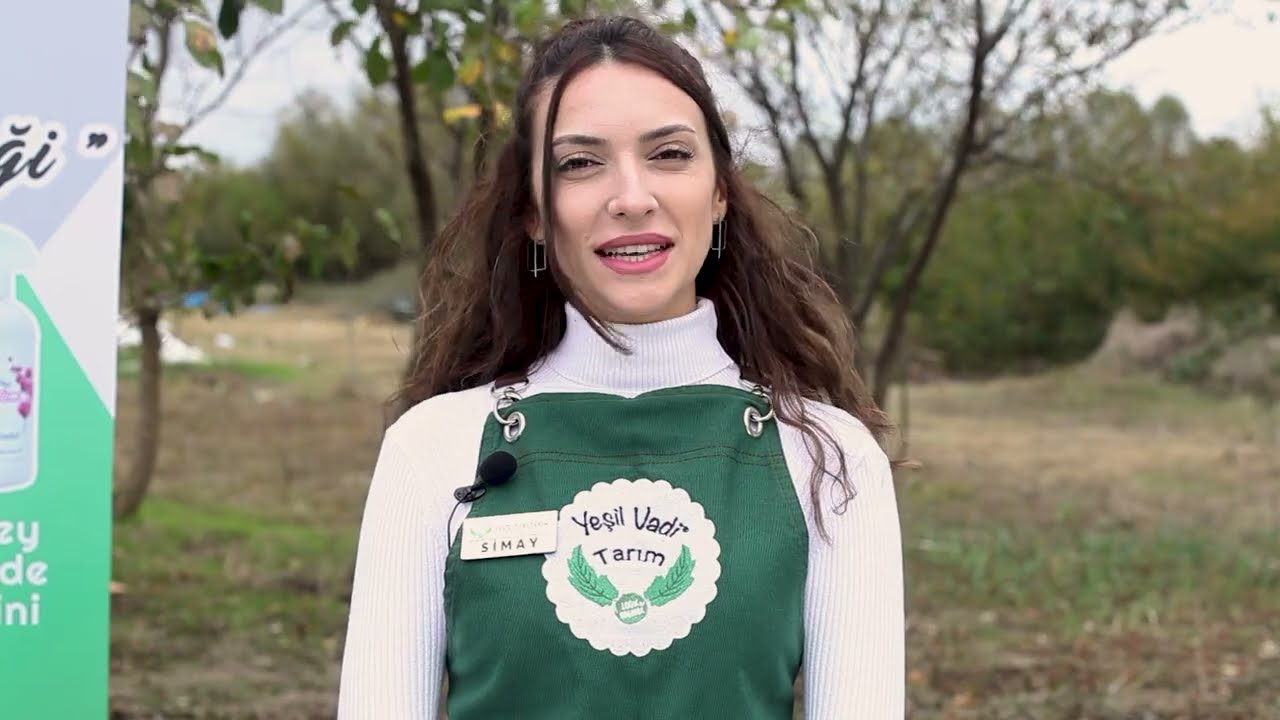 Bitki Canlandırma Tozu