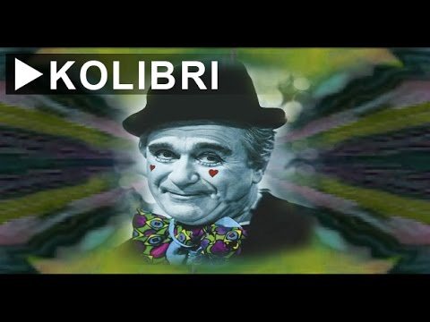 DRAGAN LAKOVIC & KOLIBRI - Medved Brundo