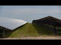 In Budel is het op één na grootste zonnepark van Nederland geopend
