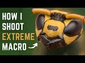 How To Shoot EXTREME MACRO The EASIEST Way No Focusing Rail No Macro Lens  No Microscope