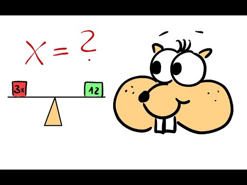 12 Sachaufgaben mit Gleichungen lösen