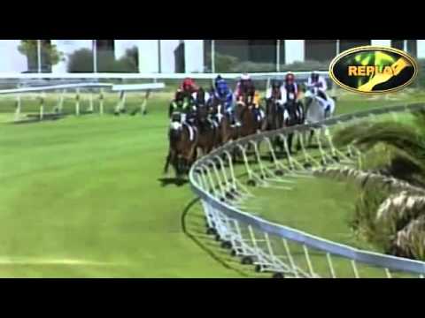 CAPE FILLIES GUINEAS GR1 2010