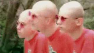 Download lagu botak mp3