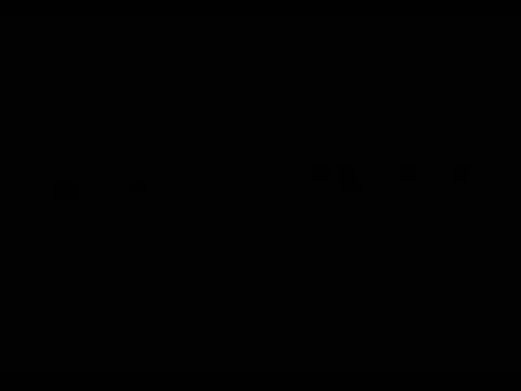 Miss Molly's Hotel Video 5