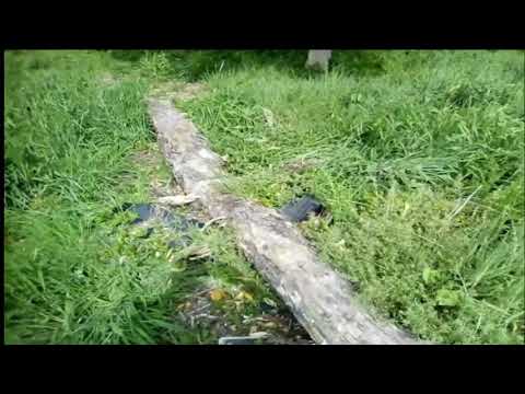 Warehouse Mobile Alcatel 1 Camera Test