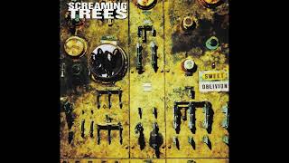 09. Troubled Times - Screaming Trees - 432Hz  HQ