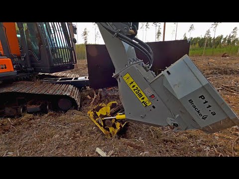 Planting Pine Saplings With Bracke P11.a Hydraulic Planter