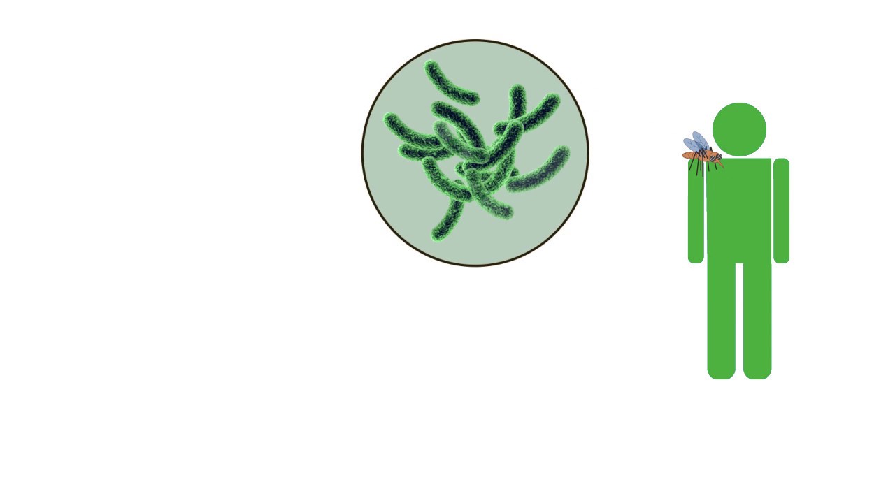 Getting Started with SimBiology