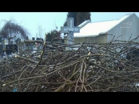 Zbliżenia TVP3 Bydgoszcz 18.02.2018