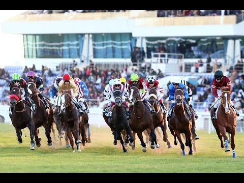 23rd Race Meeting Of Season 2016 / 2017