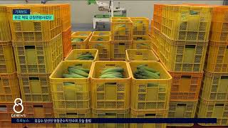 [G1뉴스]연합사업 26년..농가 