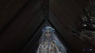 [PS5版/#参加型？]ついにカンストしてしまった変人のナイトレイン[ELDENRINGNIGHTREIGN/#ナイトレイン]
