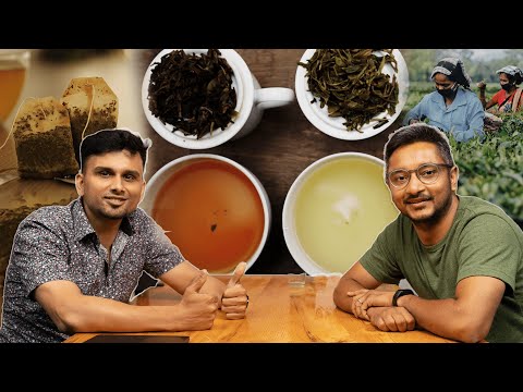 The Potential of Nepalese Tea Industry || Nishchal Banskota, Nepal Tea Collective ||