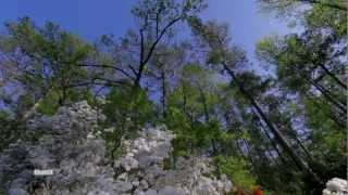 David Garrett - Eliza&#39;s Song