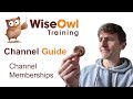 A Quick Guide to Channel Memberships for Wise Owl Tutorials