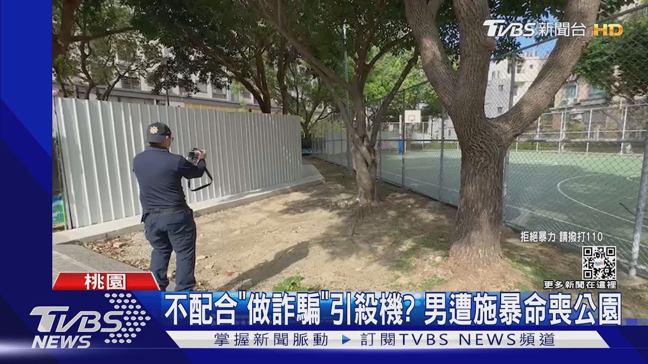 不配合「做詐騙」引殺機? 男遭施暴命喪公園