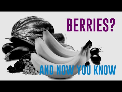download lagu mp3 mp4 Is A Cucumber A Berry, download lagu Is A Cucumber A Berry gratis, unduh video klip Is A Cucumber A Berry