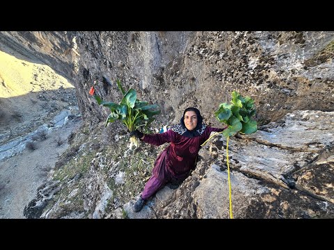 Esmat's Adventure and Cooking with the Kardeh Plant 🌿🍲