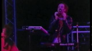 That Petrol Emotion - Genius Move (Live)