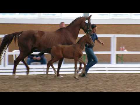 Sf For Romance II Winter