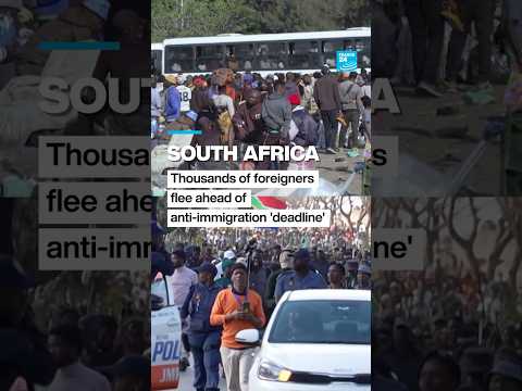 South Africa: Thousands of foreigners flee ahead of anti-immigration 'deadline'