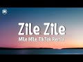 Zile Zile Song Zile Zile Mile Mile Tiktok Remix Song