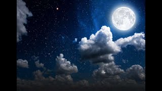 L'UNIVERS DE BRESLEV