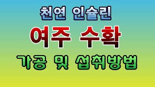 [텃밭농부. 1,214]  천연인슐린 여주 수확. 가공 및 섭취방법. #여주재배